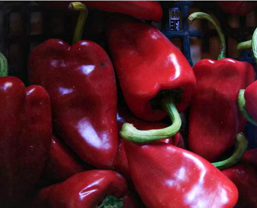 banc de llavors roda de ter codi 06 pebrot del piquillo de falset