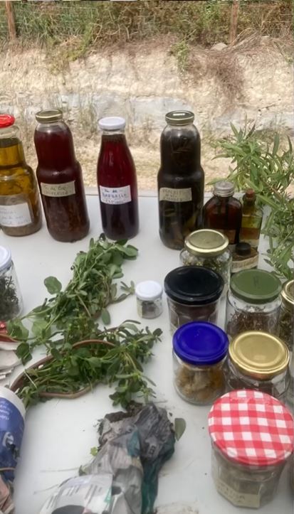 taller herbes remeieres
