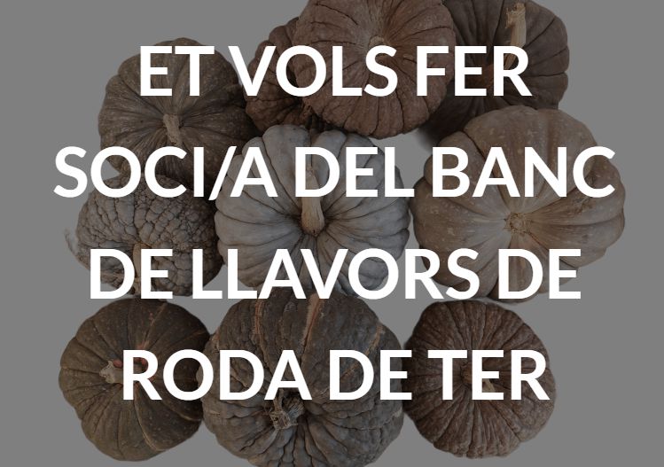 Fes-te Soci/a